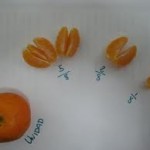 images2