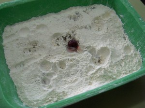 hpim2844b