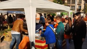 sant jordi1