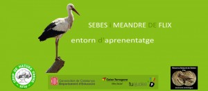 ENTORN D'APRENENTATGE DE FLIX