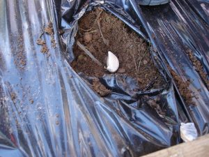 new_42_dsc05034