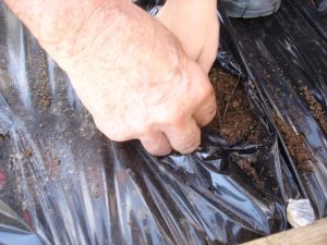 new_43_dsc05035