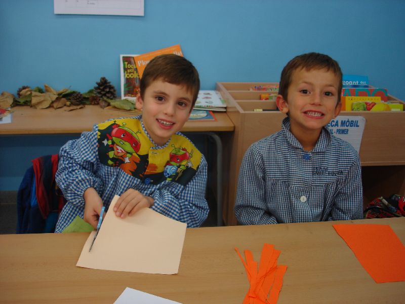 new_8_dsc05507