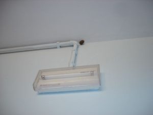 New_19_DSC07648