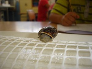 New_34_DSC07663