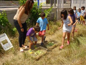 New_6_DSC07771