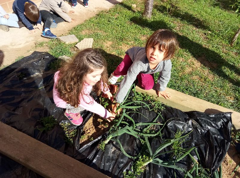 new_60_p70307-152913