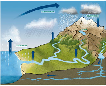 El cicle de l'aigua
