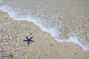 platja