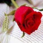 jocsflorals
