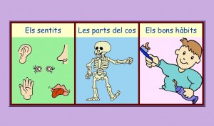 Parts del cos
