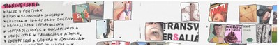transversalia