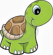 tortuga