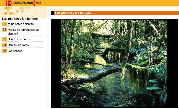 21c7114b-5891-4059-bf7c-375b55bb0258