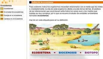 ecosistemas_sm