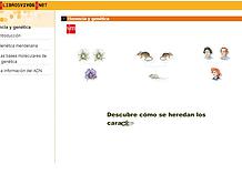 f7007b_d776b18c5ad540b1b1c5154c2a24eadc