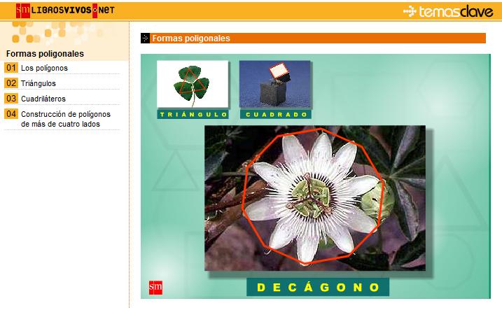 formas poligonales