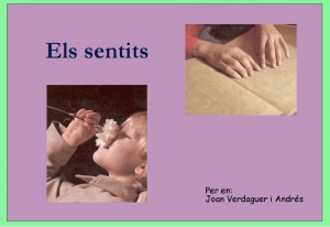 Els sentits