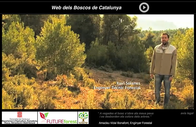 web Boscos Catalunya (portada)