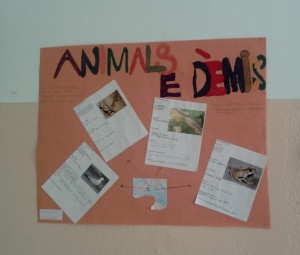 animals endèmics