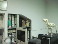 veterinari2