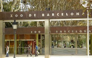 zoo-barcelona