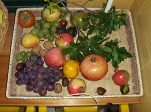 tastets-de-fruites-de-tardor-002