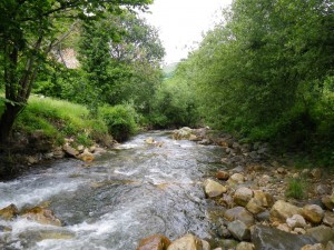 riudemuntanya