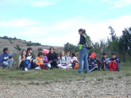 montcau6.jpg