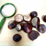 resized_cimg9854