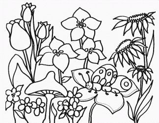 flors-primaverals-variades-una-d-elles-amb-una-eruga-i-un-bolet_49b7f744064cf-p