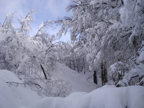 la-nieve-cubre-las-riberas-del-rio-y-sus-abedules1