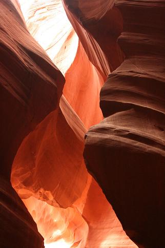 200808092229antilope