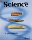 neandertal_index