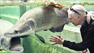 JANEGOODALL XAVIER BERTRAL