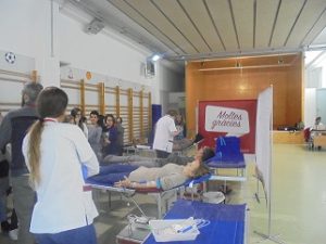 foto1