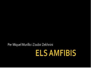 amfibis2