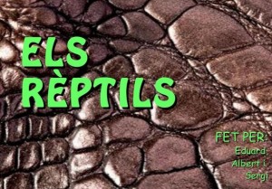 reptil1