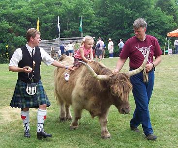 glasgow-ridethehighlandcow323