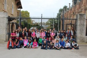 resized_img_1846