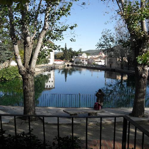 postal-moli