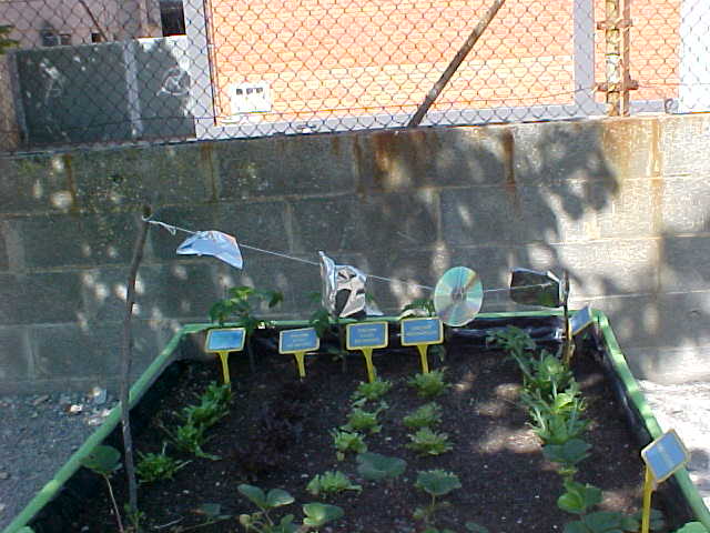 mvc-035s