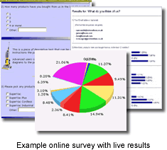 surveyexample1.gif