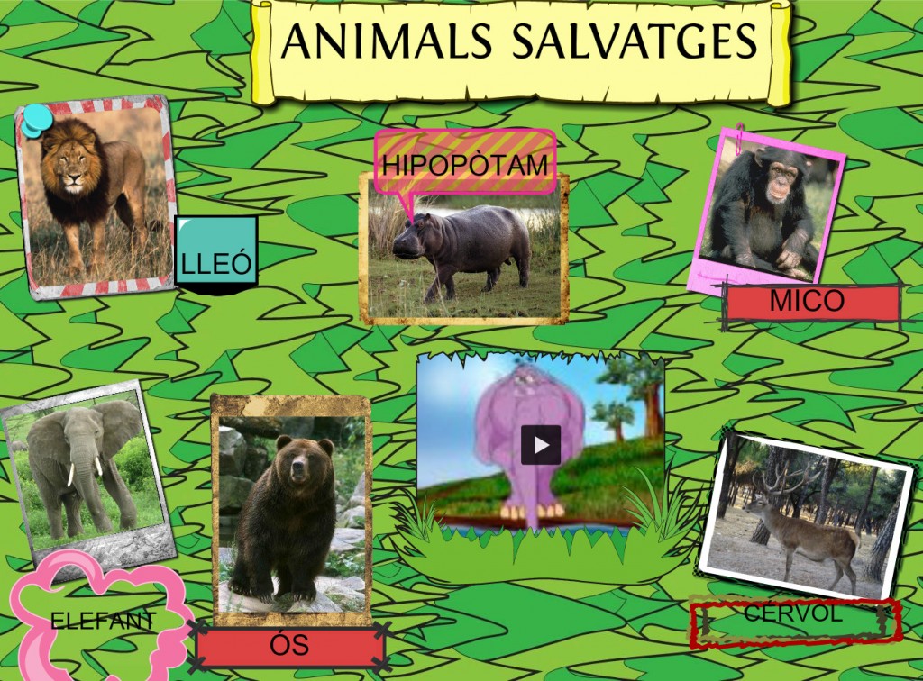 animals-salvatges-source