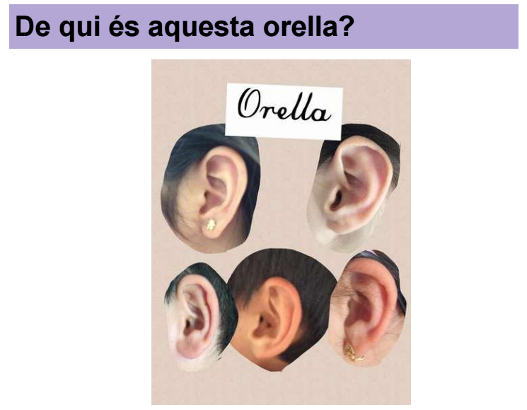 identifica orella amb piccollage