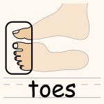 toesrgb