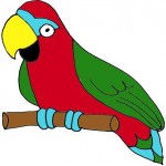 parrot11