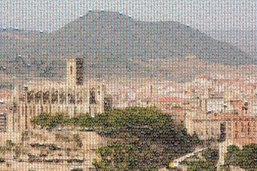 mimosaico