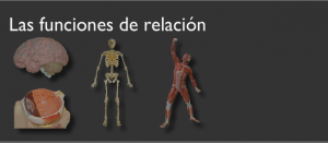 relació