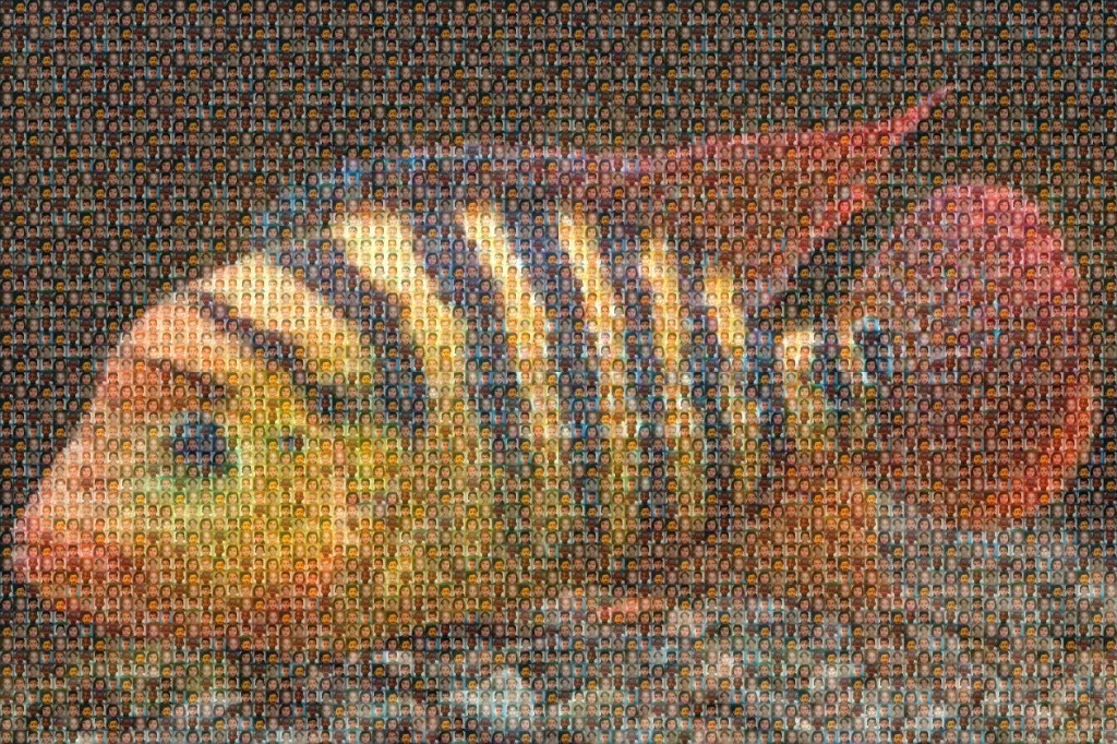 mymosaic